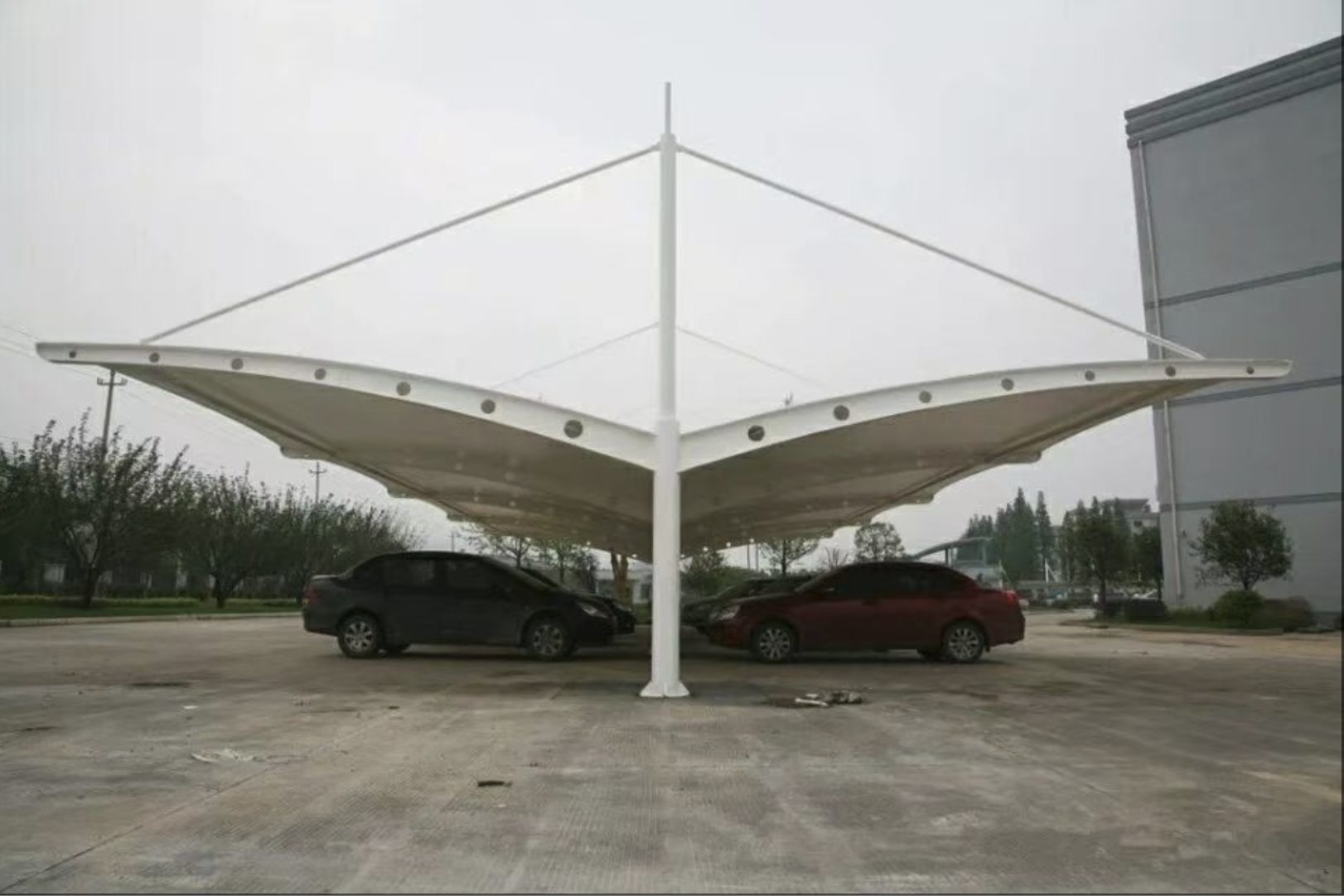 膜结构遮阳隔热棚